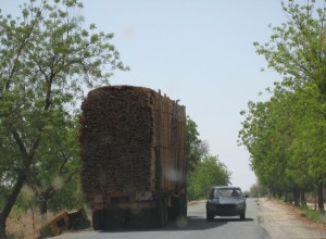 Truck with load - Far North, Cameroon