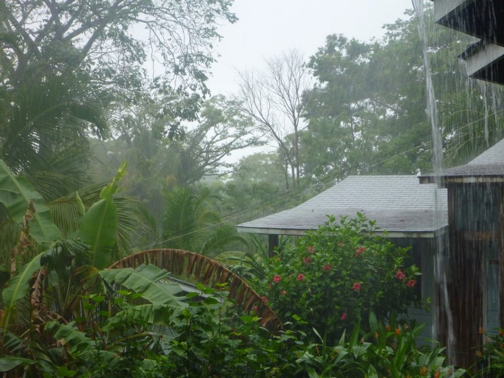 The Weather Arrives in Honduras - Laura Zera