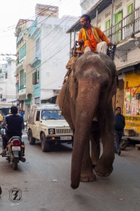 Street traffic, Udaipur 1a
