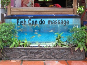 Fish massage - Siem Reap